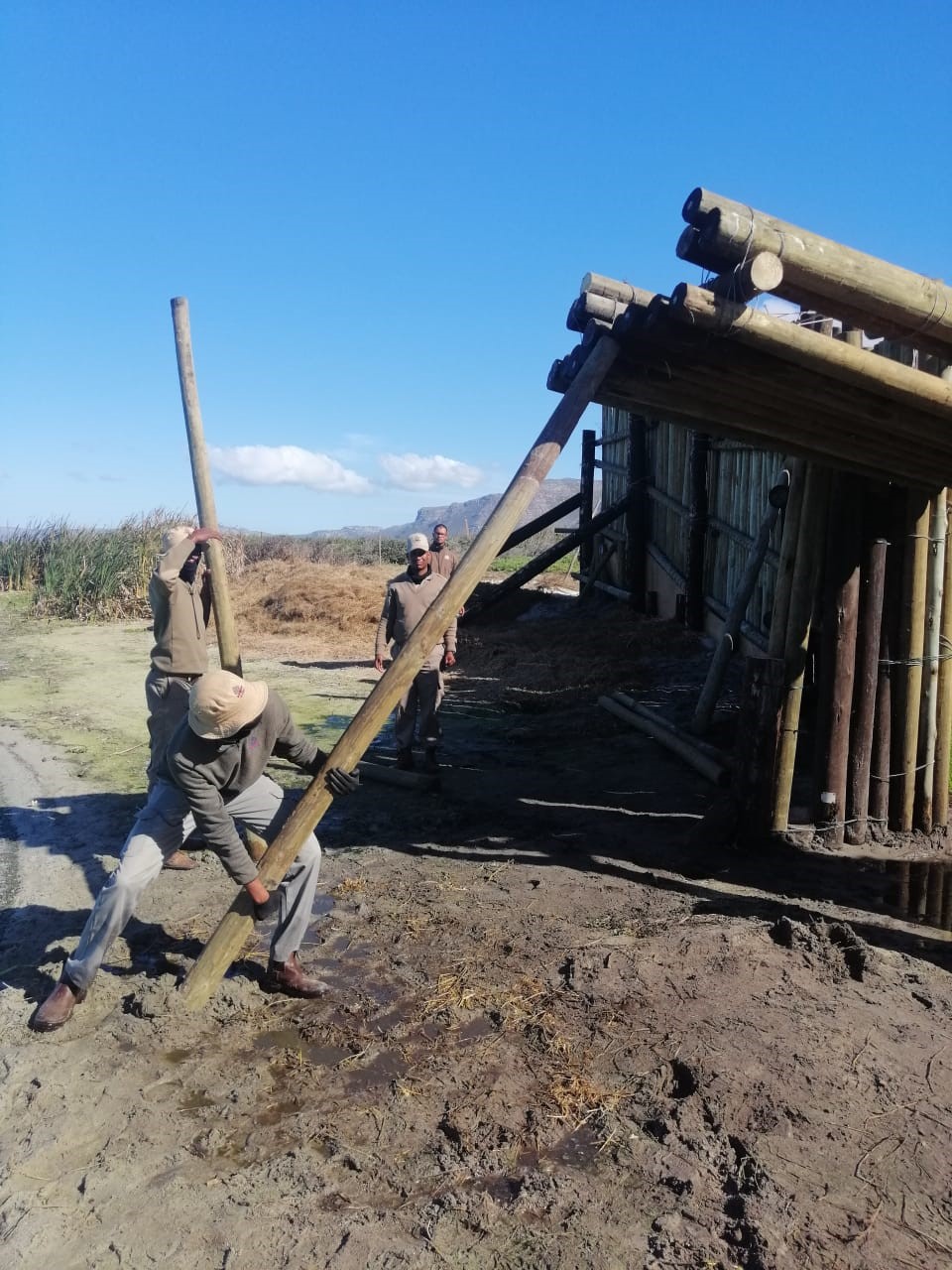 Boma Construction