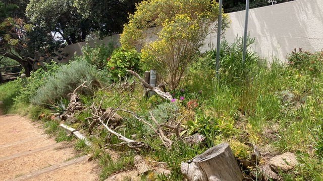bee garden