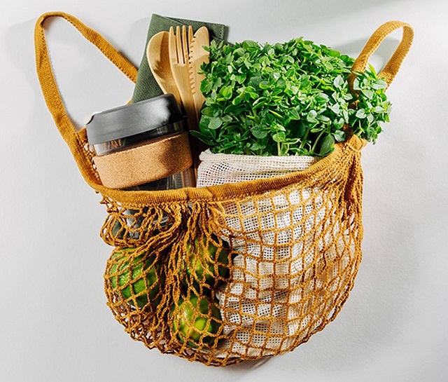 plant powered show cape town basket