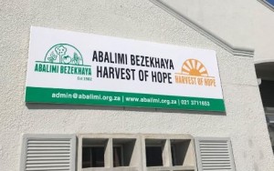 Harvest of Hope | Vegetable Box Delivery Scheme