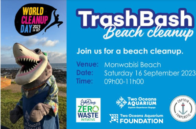 two_oceans_trash_bash_world_clean_up_day