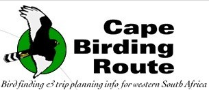 Cape Birding Route